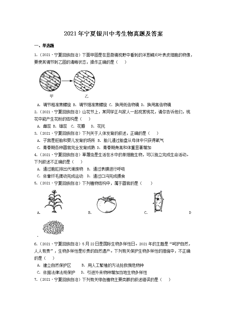 2021ꌎyп}