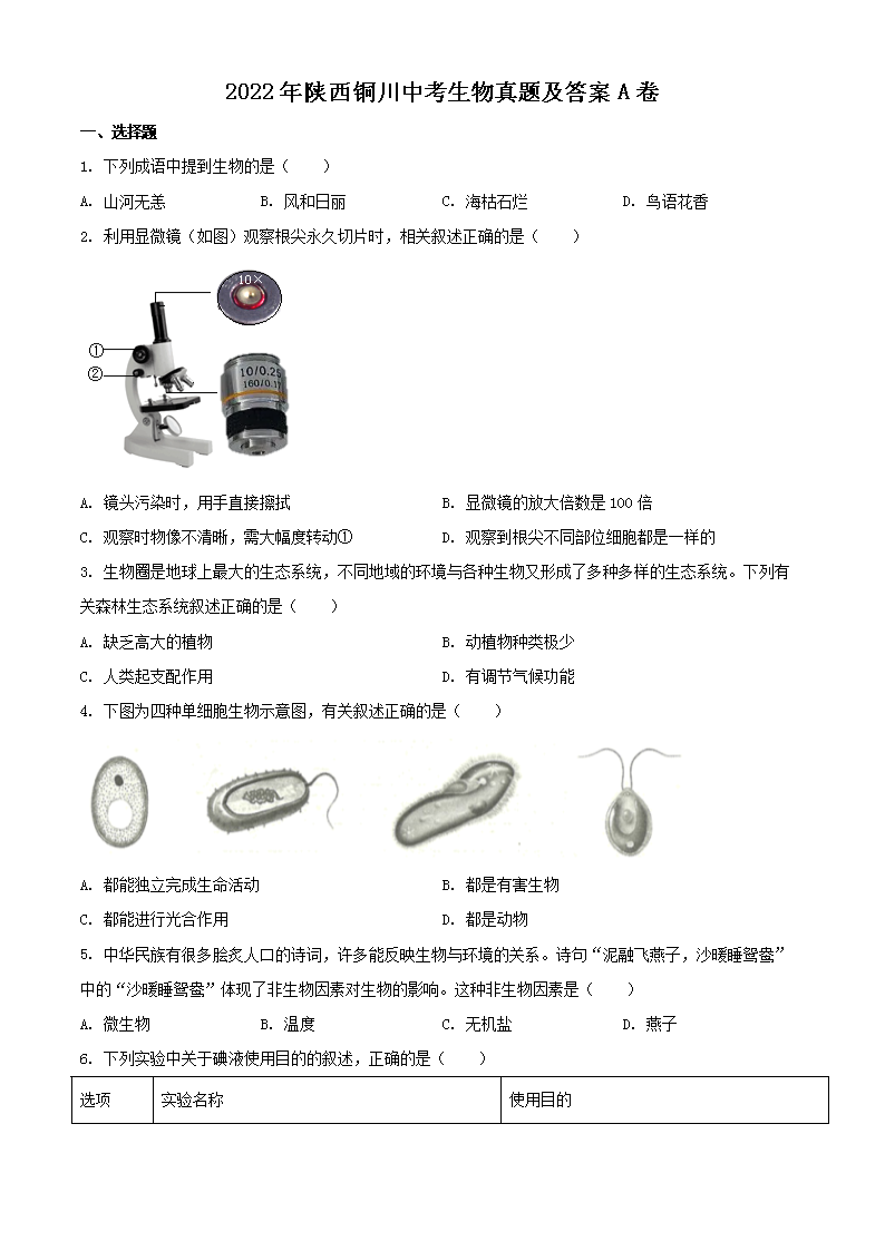 2022������ͭ���п��������⼰��A��