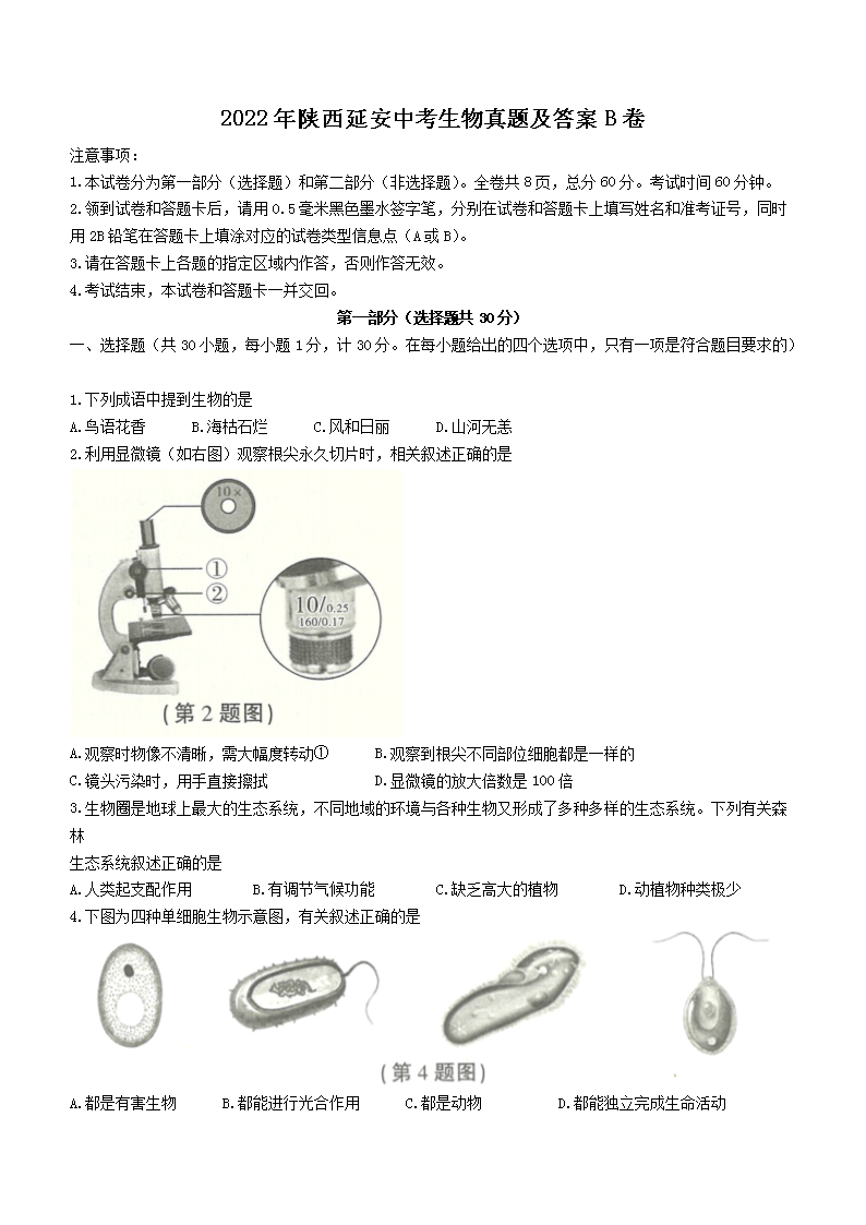 2022�������Ӱ��п��������⼰��B��