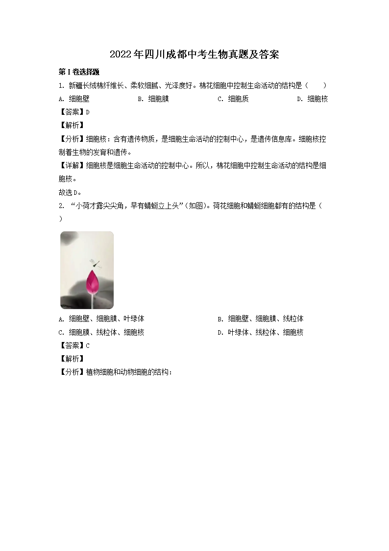 2022���Ĵ��ɶ��п��������⼰��