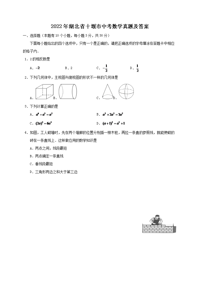 2022�����ʡʮ�����п���ѧ���⼰��