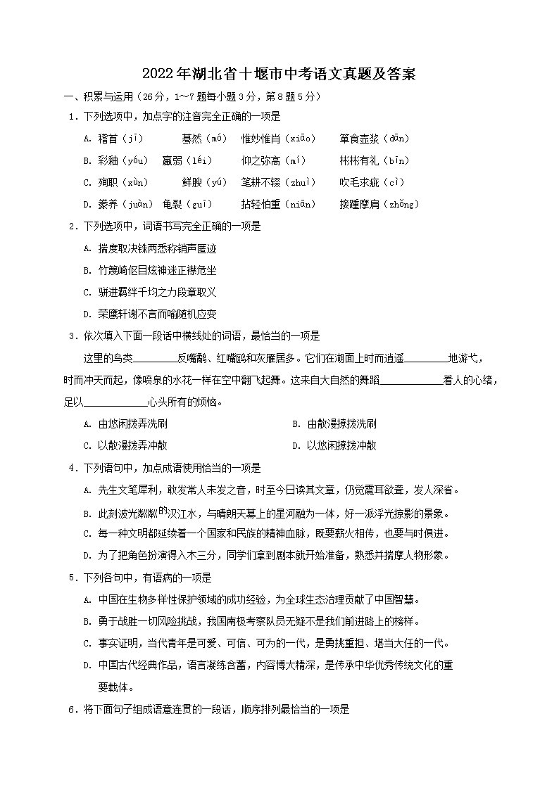 2022�����ʡʮ�����п��������⼰��