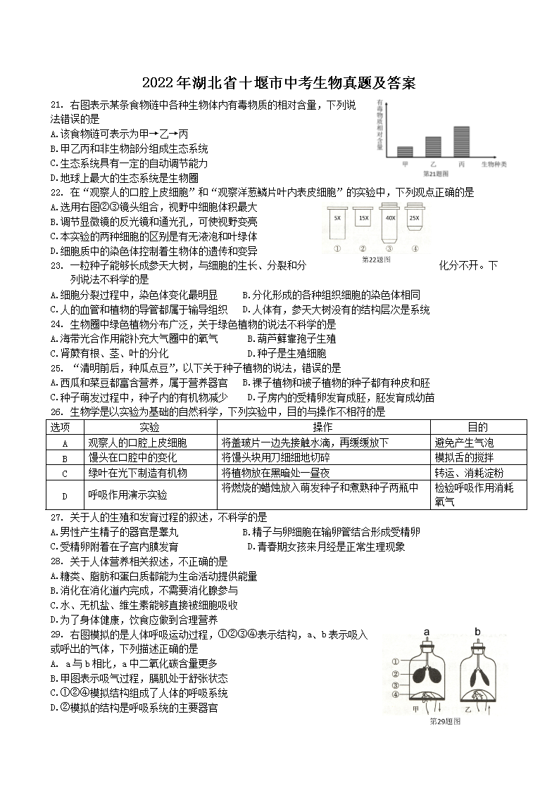 2022�����ʡʮ�����п��������⼰��