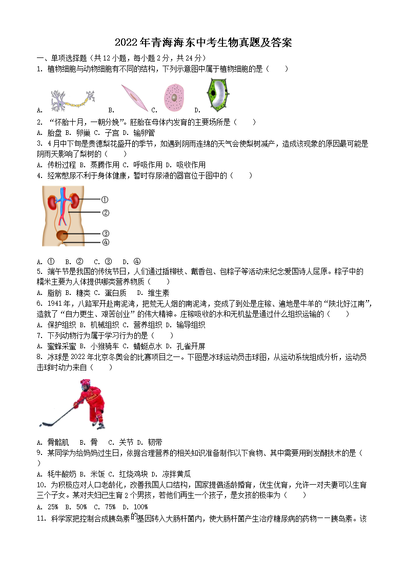 2022���ຣ�����п��������⼰��