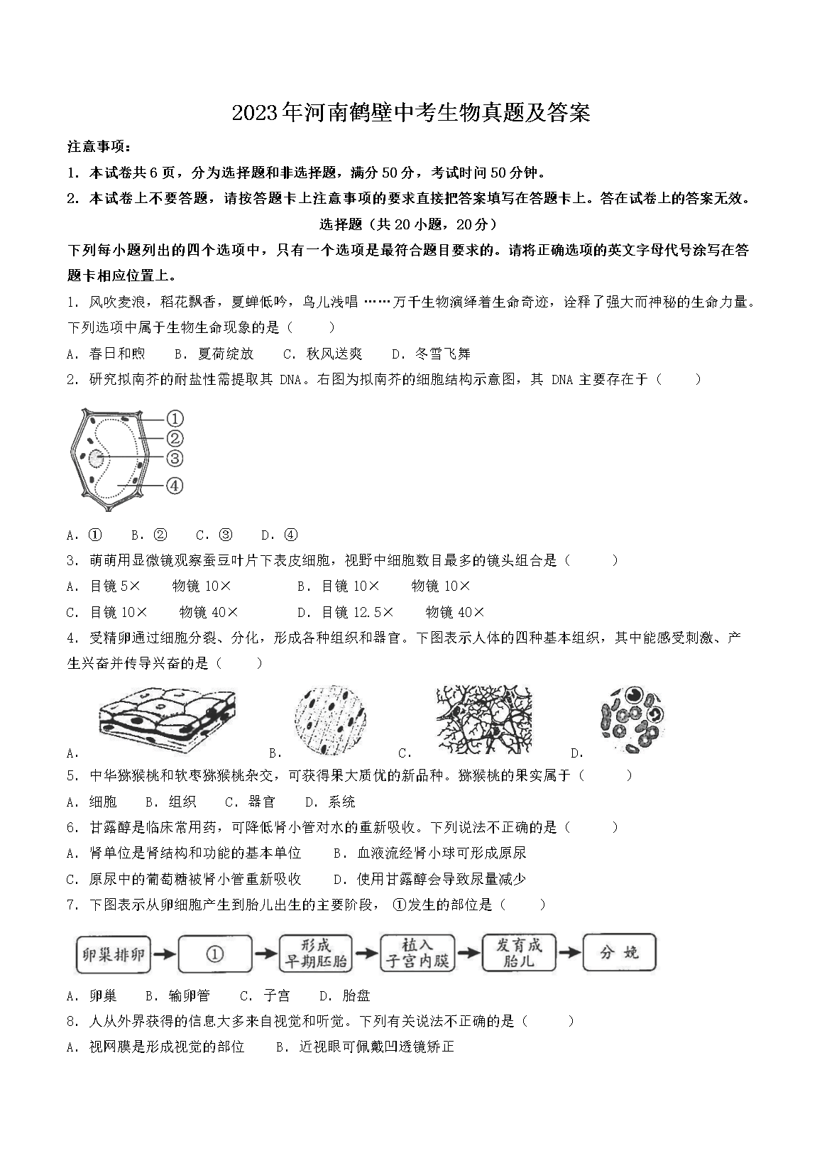 2023����Ϻױ��п��������⼰��