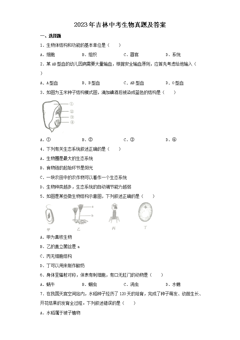 2023�꼪���п��������⼰��