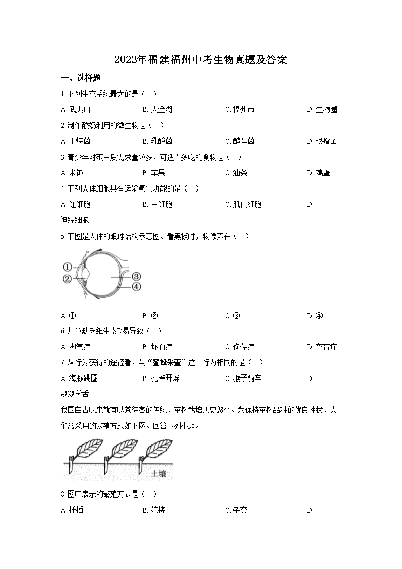 2023年福建福州中考生物真题及答案