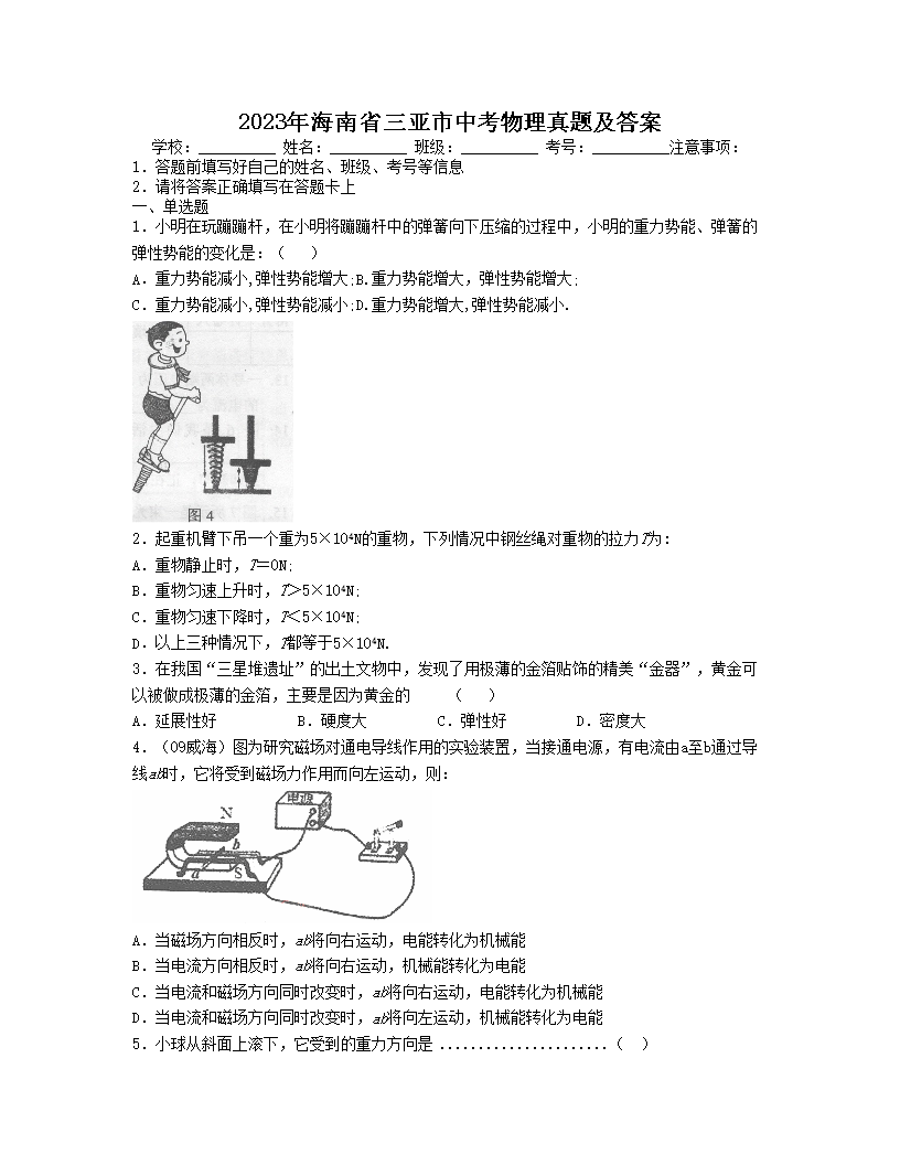 2023年海南省三亚市中考物理真题及答案