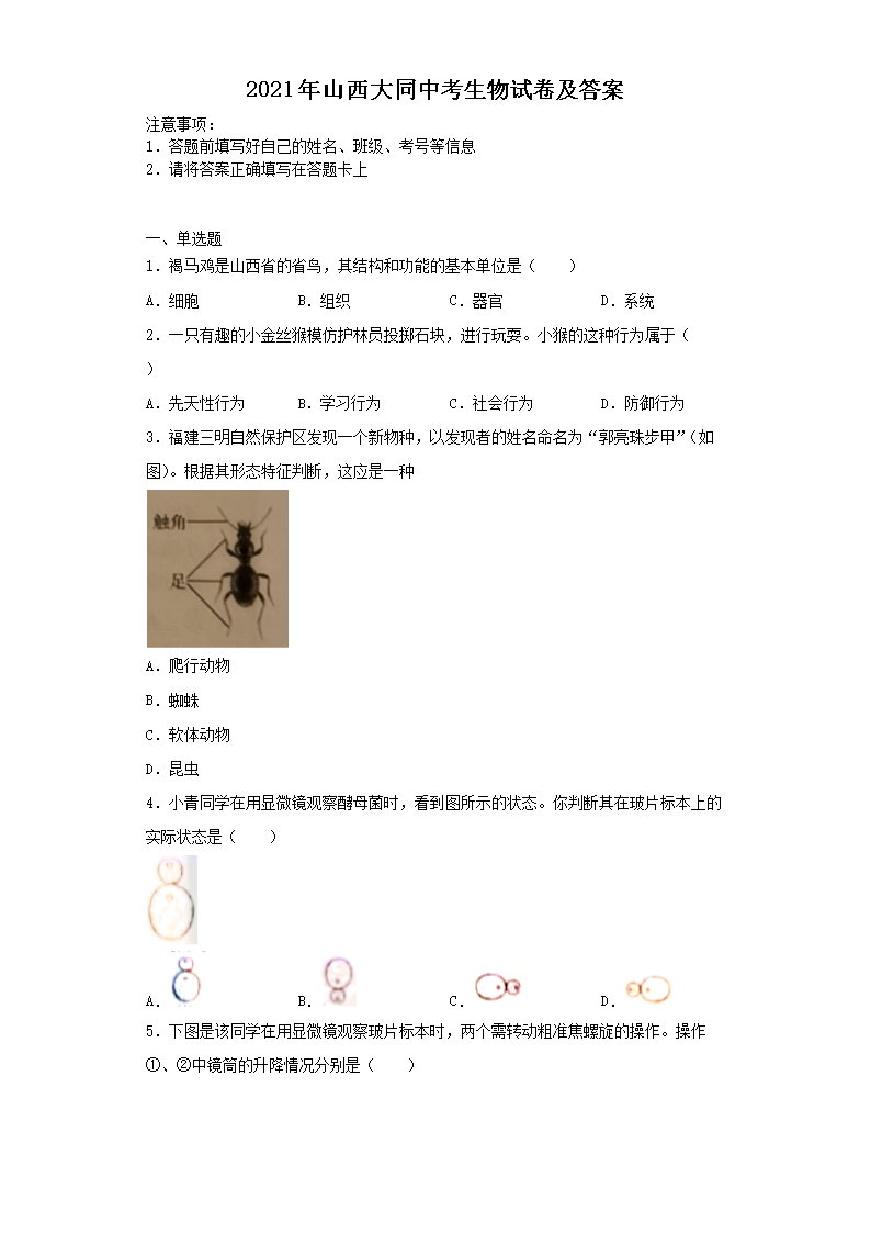 2021��ɽ����ͬ�п������Ծ�����