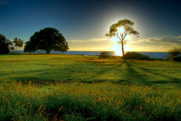 fengjing-600x400.jpg