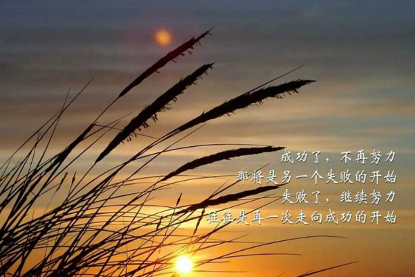 关于坚持的名言警句大全,关于坚持的名言警句大全摘抄