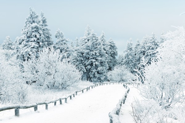 shutterstock_150034001-600x400.jpg