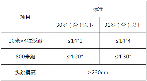 体2.png