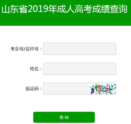 2019年山东成人高考成绩查询.jpg