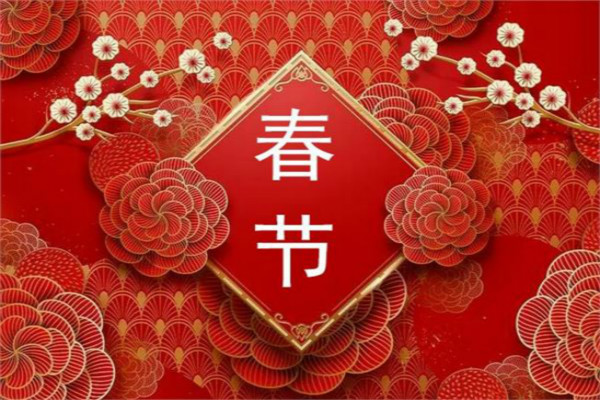 2020春节主题活动方案大全