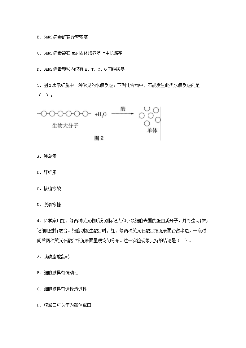 2019上半年北京教师资格高中生物学科知识与教学能力真题及答�?.png