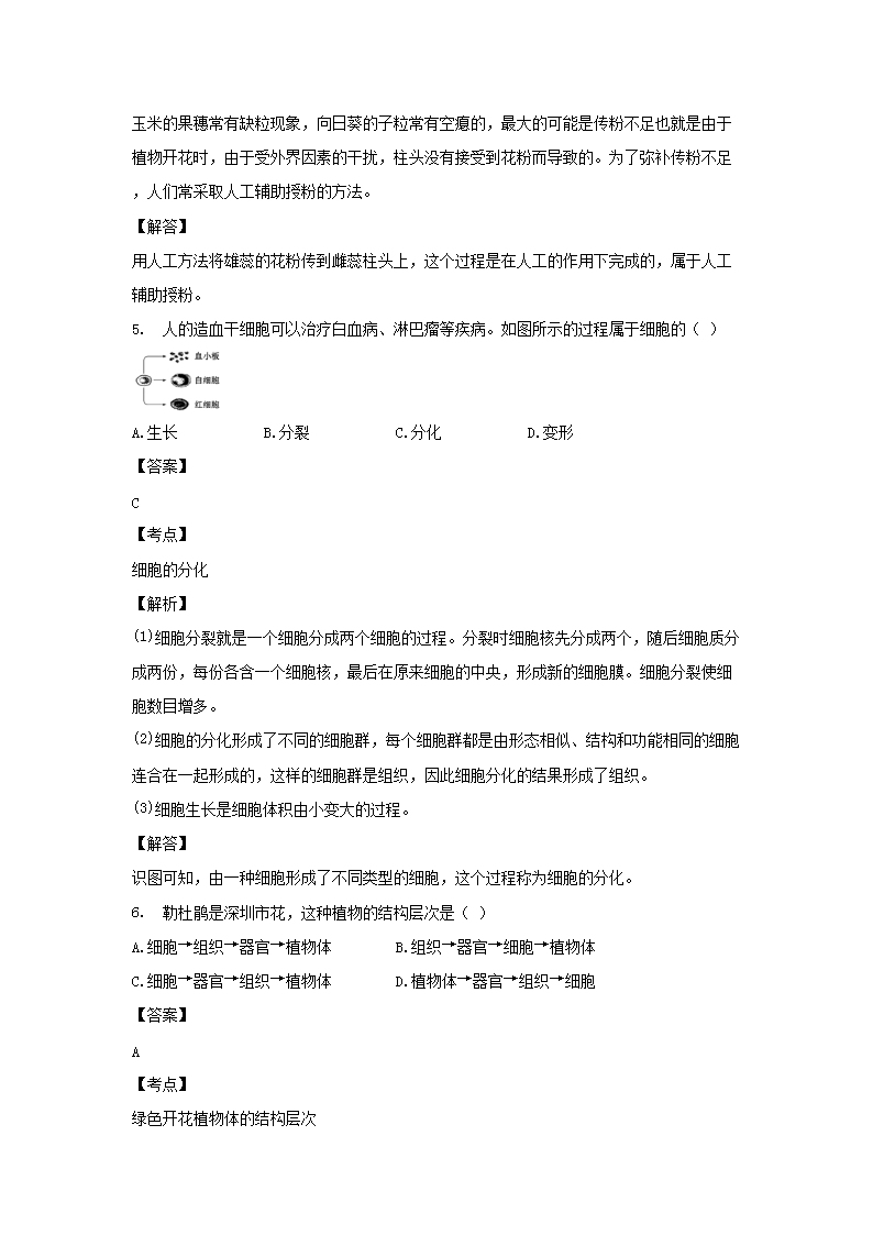 Removed_2017年廣東省深圳市中考生物真題及答案3.png