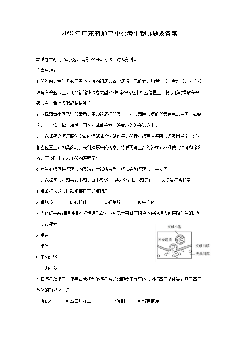 2020㶫ͨлῼ⼰