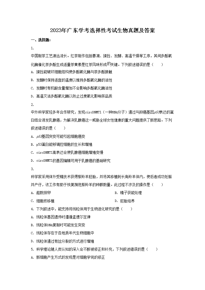 2023㶫ѧѡԿ⼰