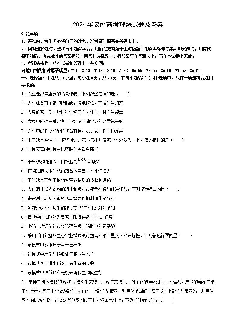 2026年云南高考理综试题及答案(Word版)
