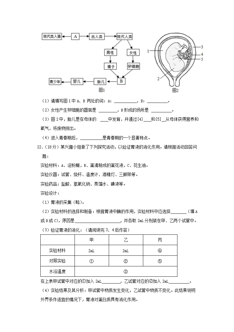 2022-2023开云kaiyun(中国)年四川绵阳江油市七年级下册生物6月月考试卷及答案5.png