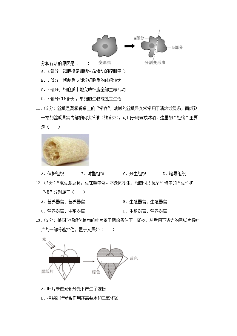 2023-2024开云kaiyun(中国)年四川成都双流区七年级上册生物期末试卷及答�?.png