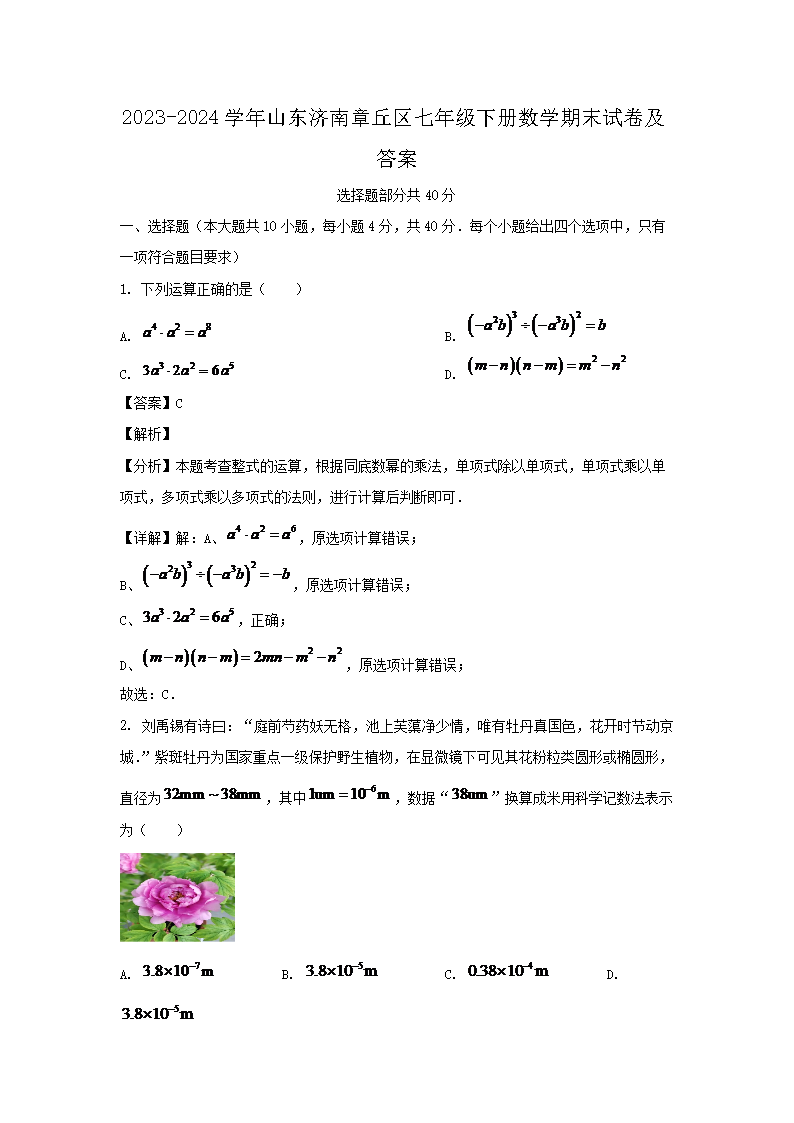 2026-2024学年山东济南章丘区七年级下册数学期末试卷及答案(Word版)