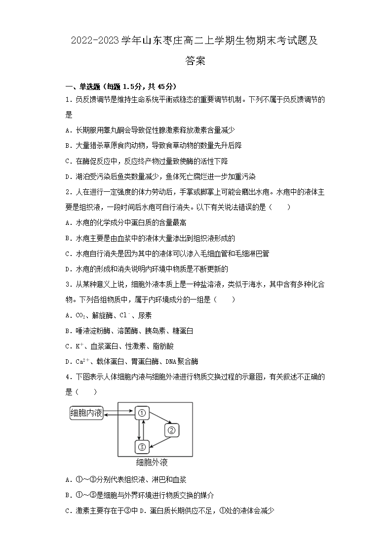 Removed_2022-2023学年山东枣庄高二上学期生物期末考试题及答案1.png